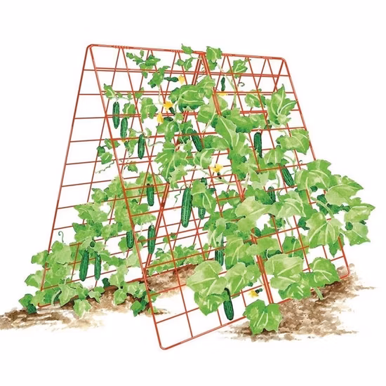 Folding Wire Wall Trellis Metal Garden Plants Support Trellis
